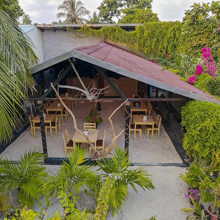 Turtle Maldives - Your Gateway To The Beach & Marine Adventures Await! Omadhoo Exterior foto