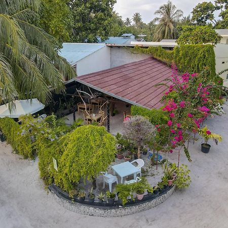 Turtle Maldives - Your Gateway To The Beach & Marine Adventures Await! Omadhoo Exterior foto