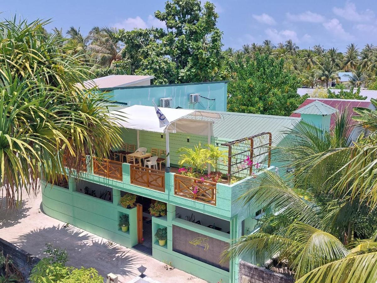 Turtle Maldives - Your Gateway To The Beach & Marine Adventures Await! Omadhoo Exterior foto