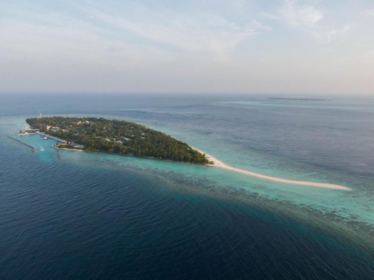 Turtle Maldives - Your Gateway To The Beach & Marine Adventures Await! Omadhoo Exterior foto