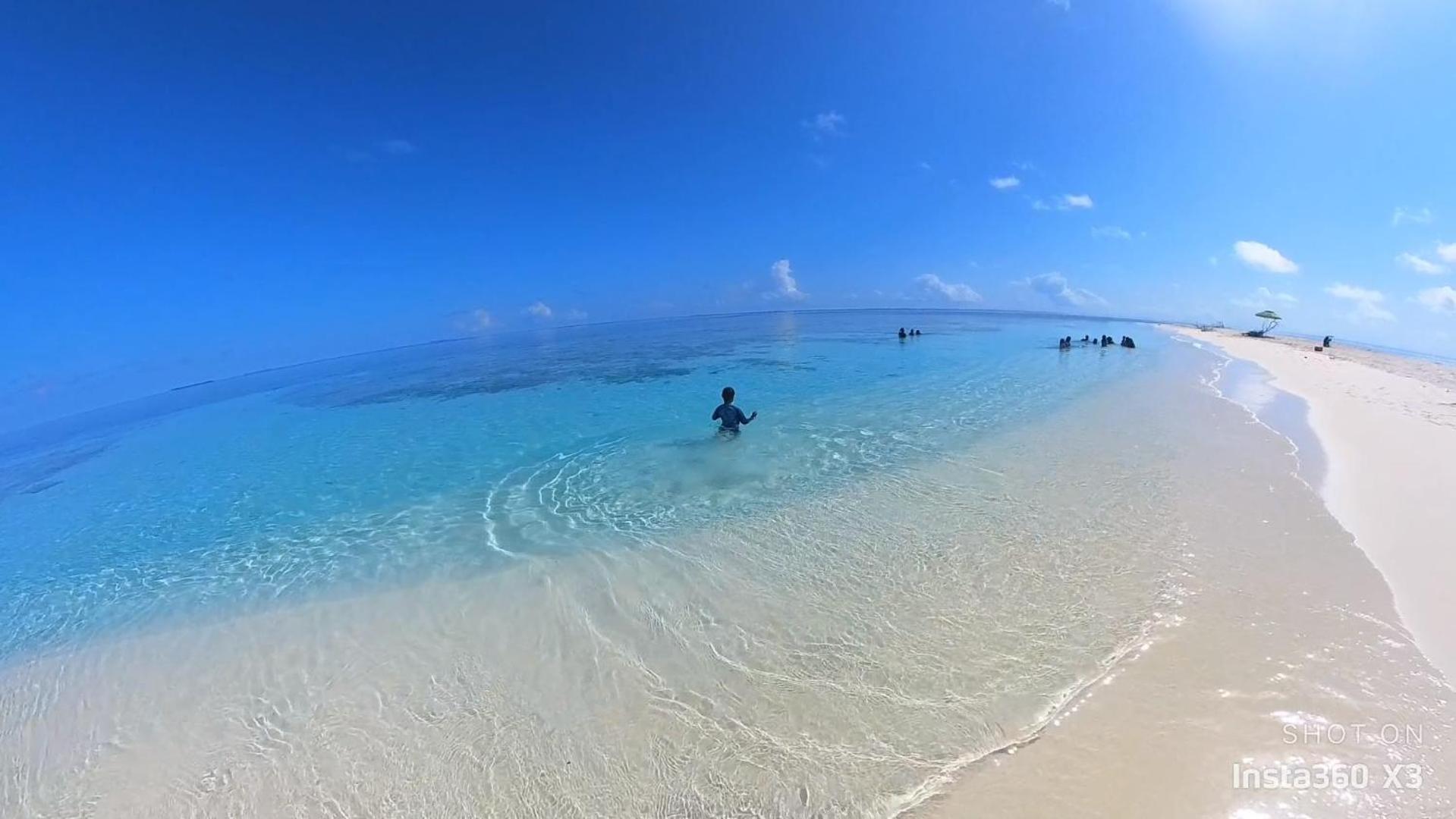 Turtle Maldives - Your Gateway To The Beach & Marine Adventures Await! Omadhoo Exterior foto