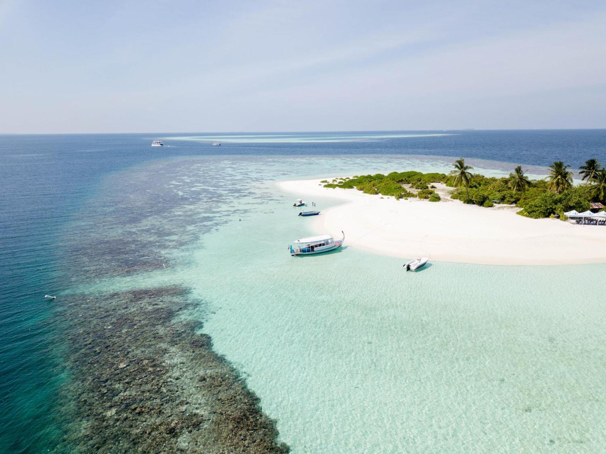 Turtle Maldives - Your Gateway To The Beach & Marine Adventures Await! Omadhoo Exterior foto