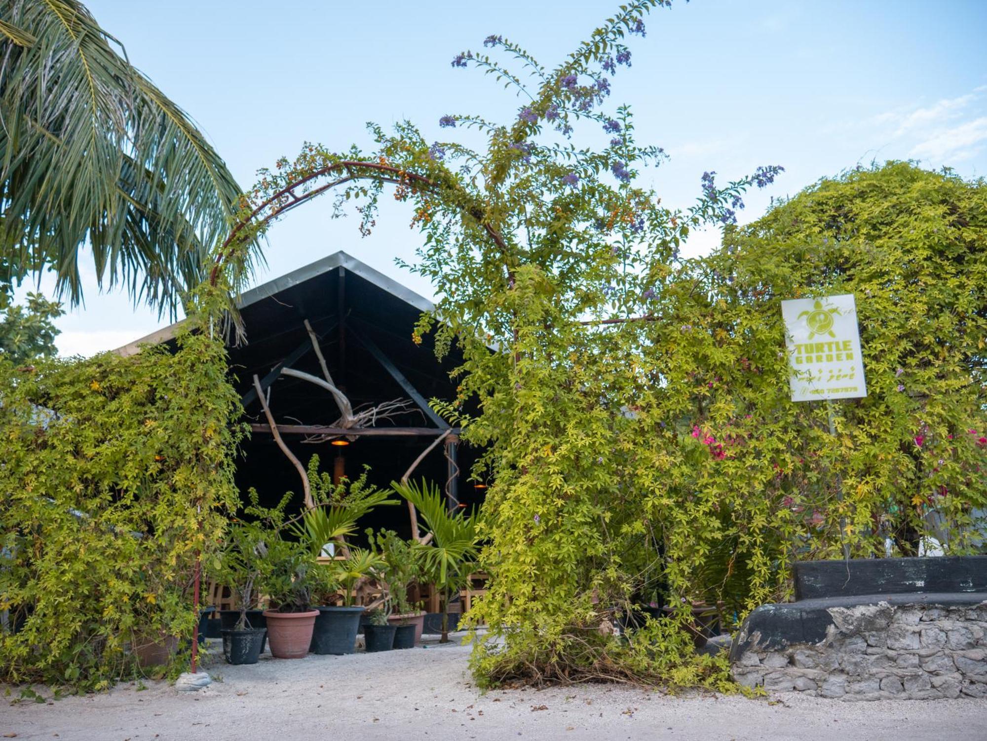 Turtle Maldives - Your Gateway To The Beach & Marine Adventures Await! Omadhoo Exterior foto