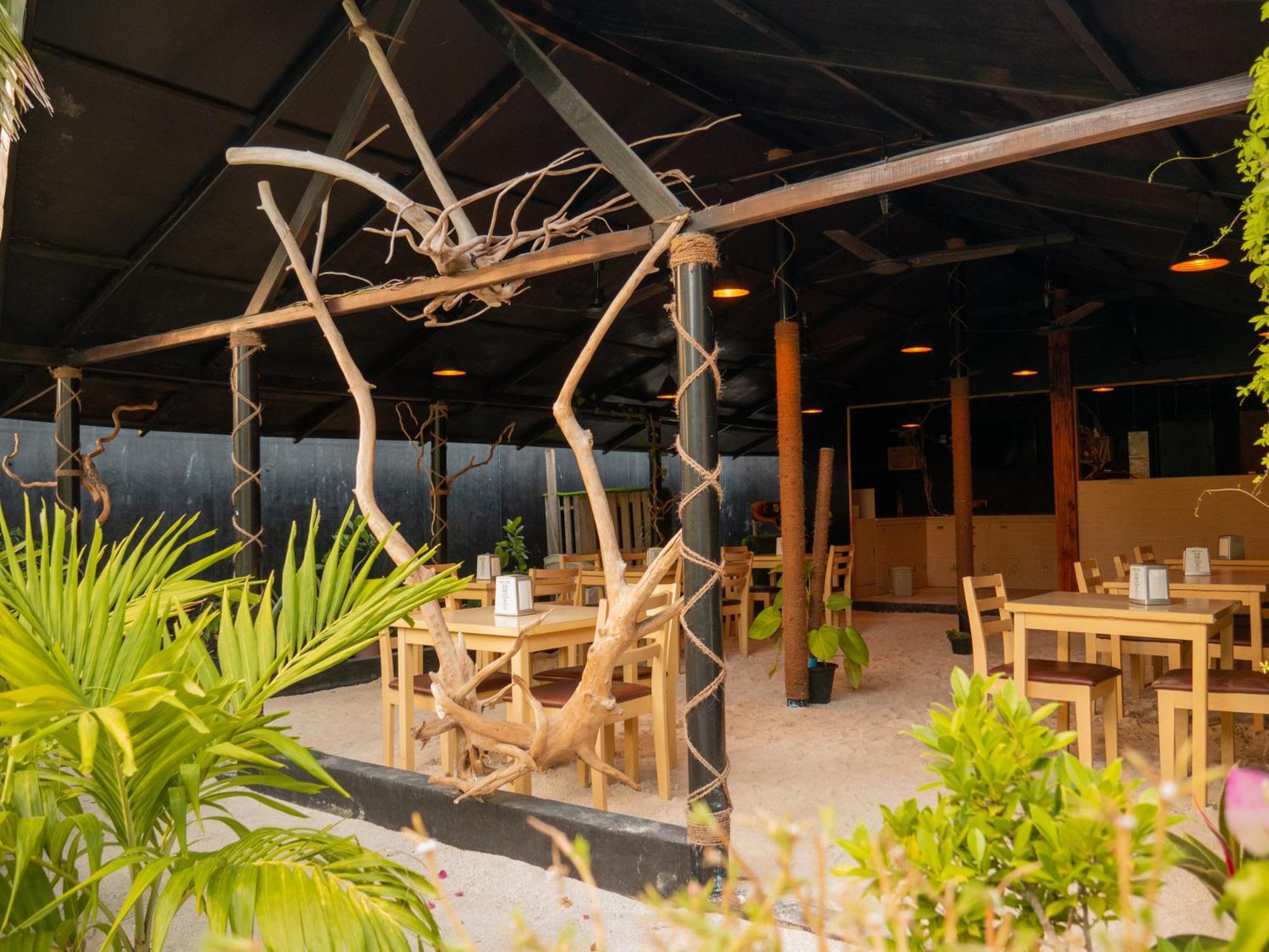 Turtle Maldives - Your Gateway To The Beach & Marine Adventures Await! Omadhoo Exterior foto