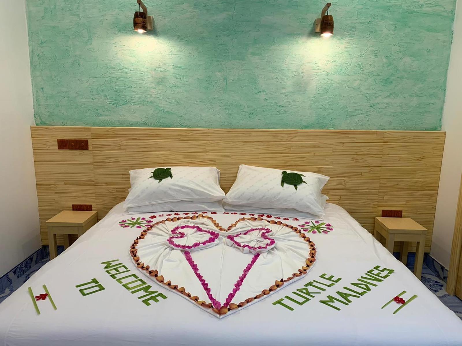 Turtle Maldives - Your Gateway To The Beach & Marine Adventures Await! Omadhoo Habitación foto