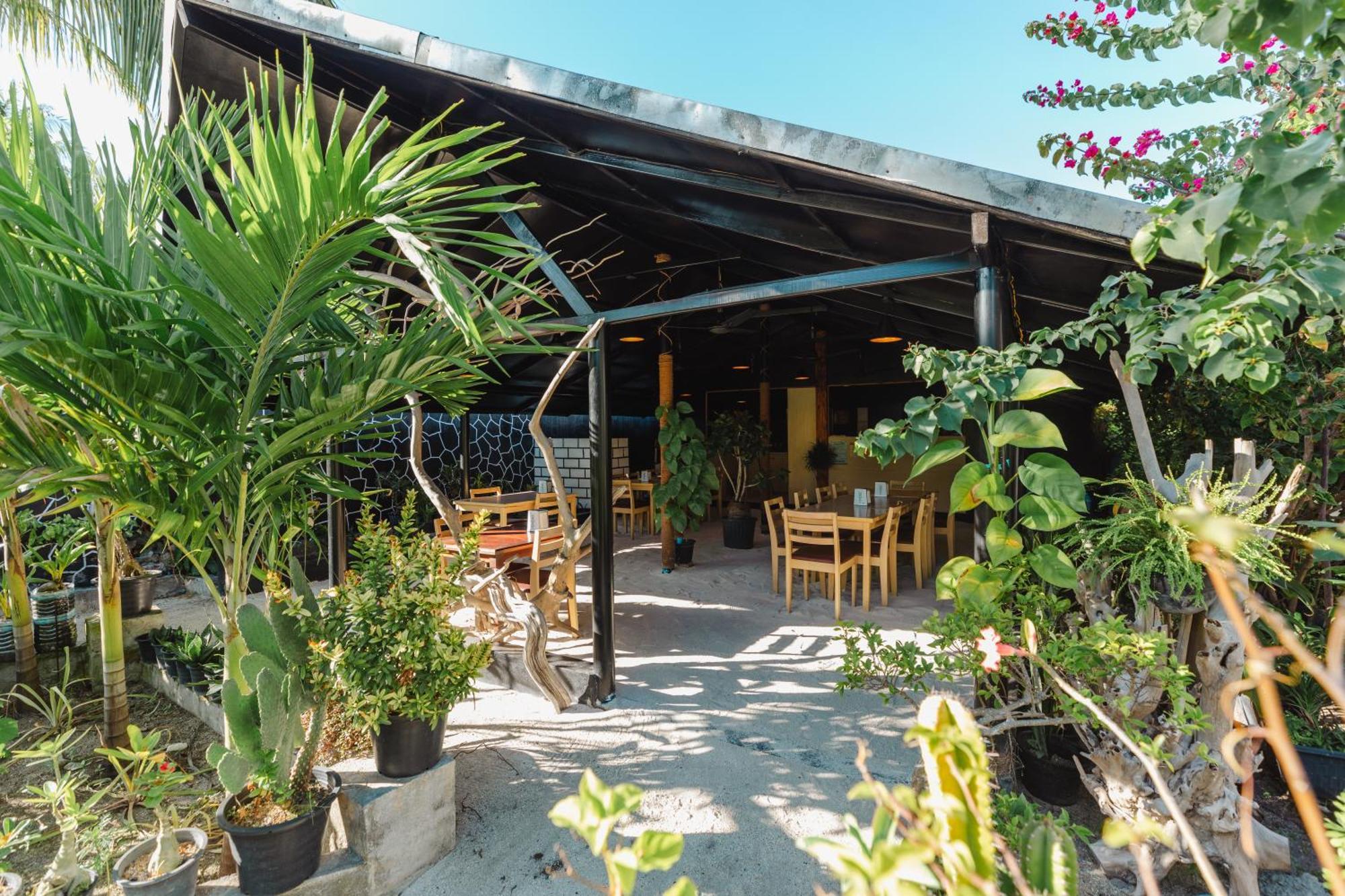 Turtle Maldives - Your Gateway To The Beach & Marine Adventures Await! Omadhoo Exterior foto