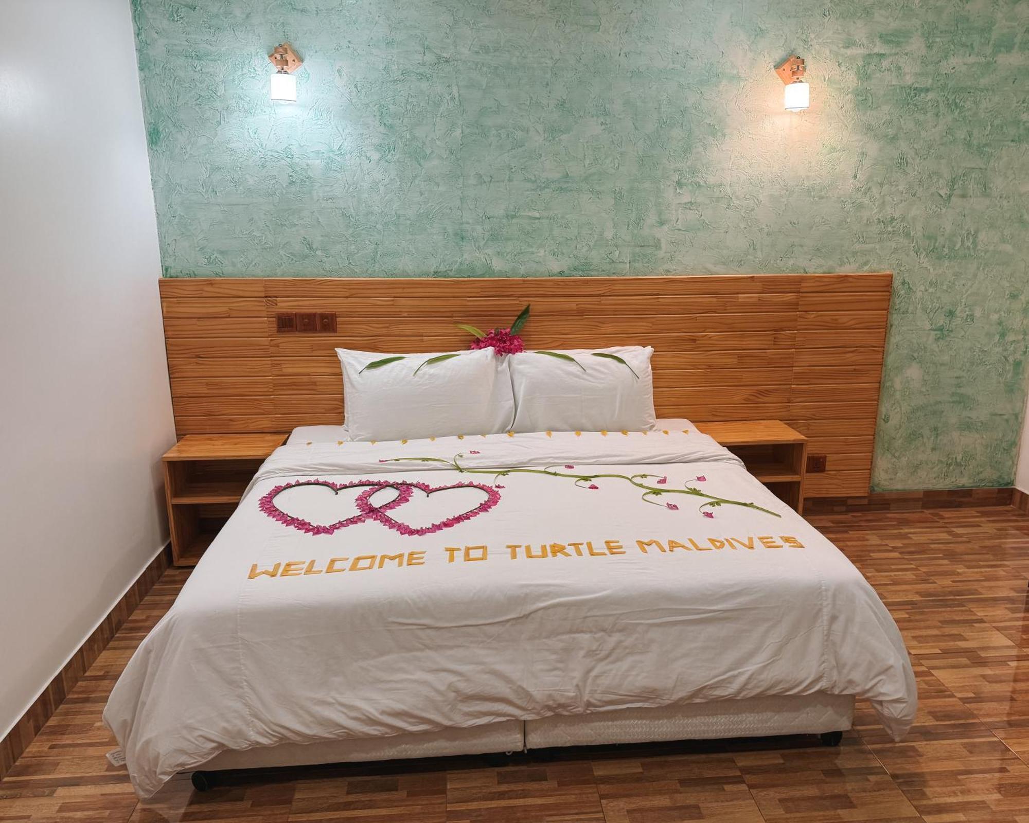 Turtle Maldives - Your Gateway To The Beach & Marine Adventures Await! Omadhoo Habitación foto