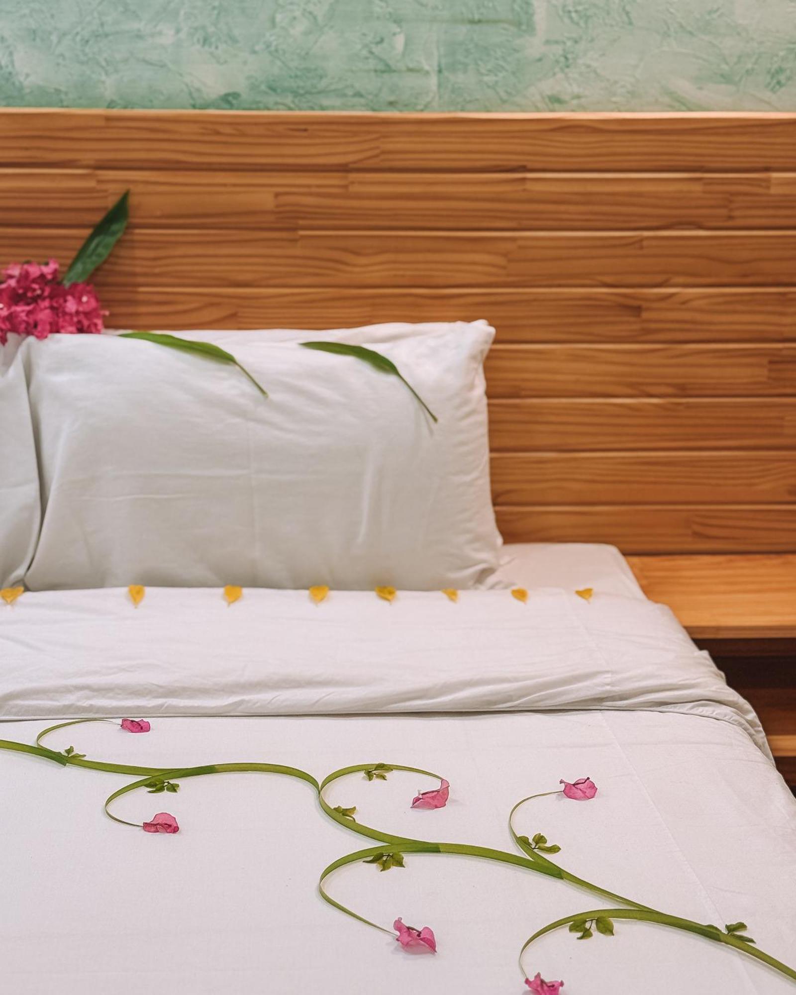 Turtle Maldives - Your Gateway To The Beach & Marine Adventures Await! Omadhoo Habitación foto