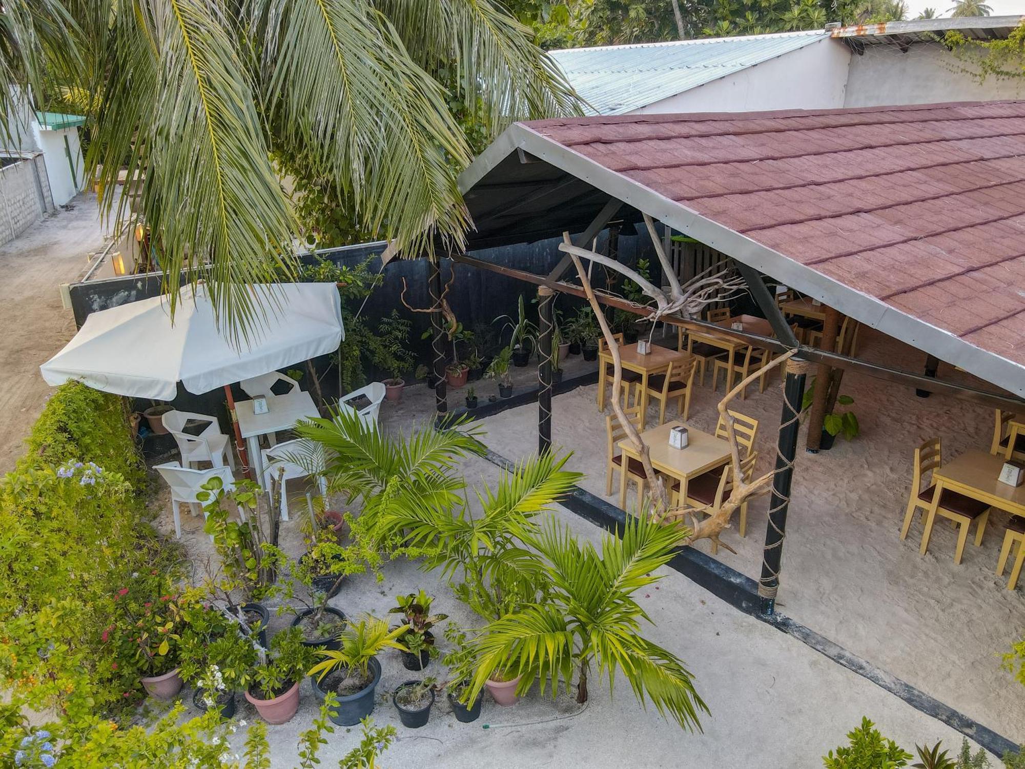 Turtle Maldives - Your Gateway To The Beach & Marine Adventures Await! Omadhoo Exterior foto